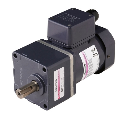 AC - Terminal Box Type Motor
