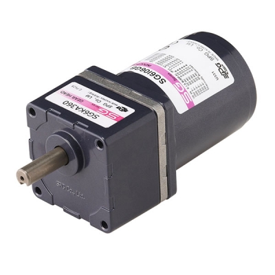 AC - Induction Motor