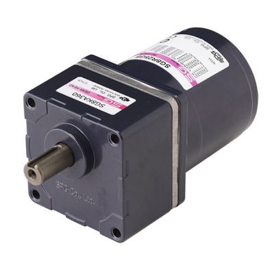 AC - Reversible Motor