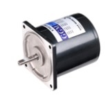 Reversible Motor