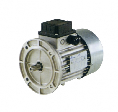 MOTOR(모토바리오 모터)