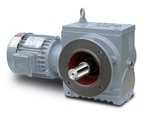 Helical Worm Gear Reducer
